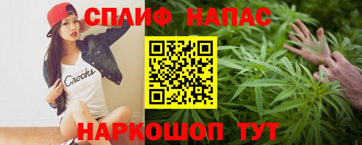 Камышин  Конопля сатива  Канабис MAZAR  Вход с VPN  Бошки Шишки ГИДРОПОН 
