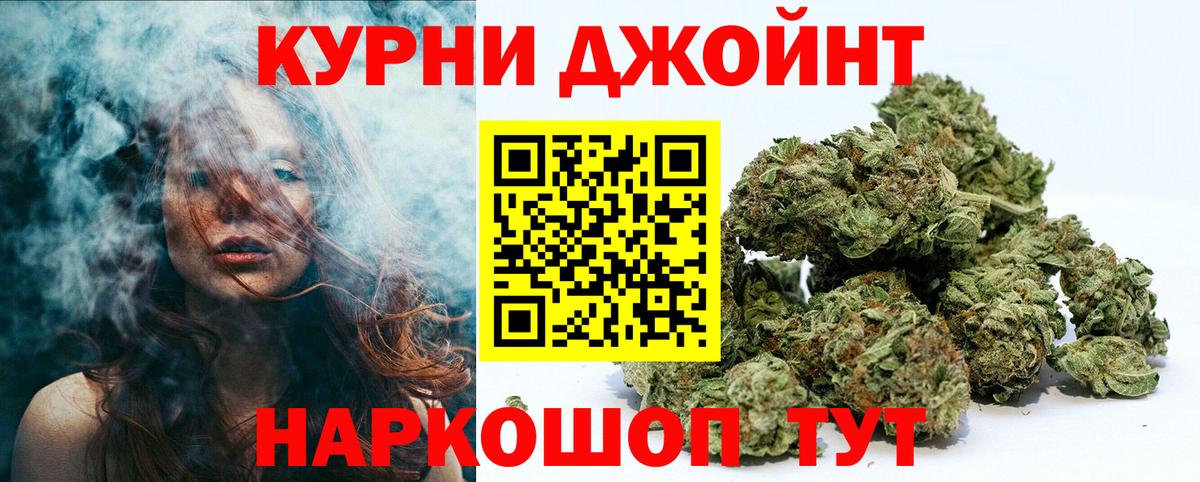 МАРИХУАНА сатива Камышин